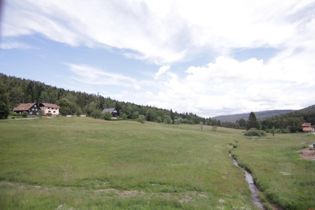 Apartment Schoene Im Nationalpark Noerdlicher Schwarzwald Forbach